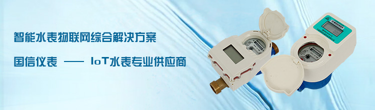 國信儀(yi)表-IOT水表專(zhuan)業供應商(shang)